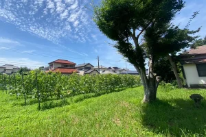 那古圃場全景
